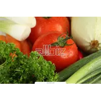 Семена сортовые овощей
